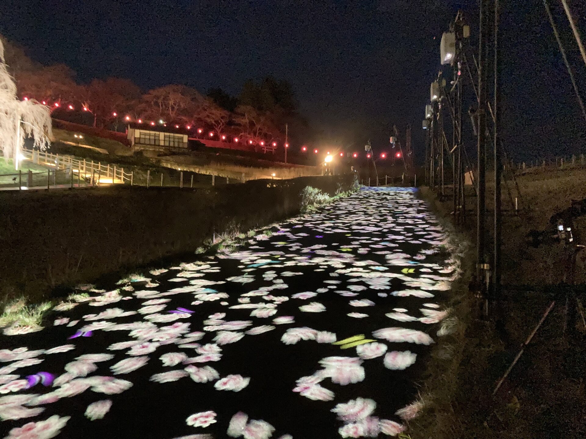 三春の滝桜 メモリアルライトアップ – 株式会社 U.